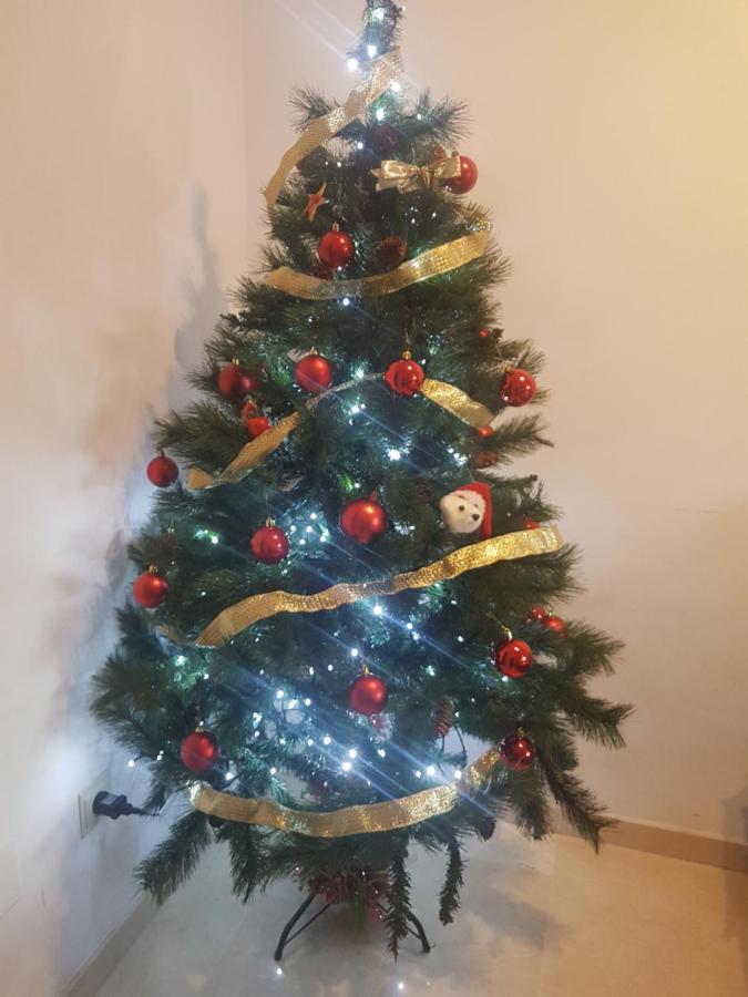 Apartamento Gloria 2 Μάλαγα Εξωτερικό φωτογραφία